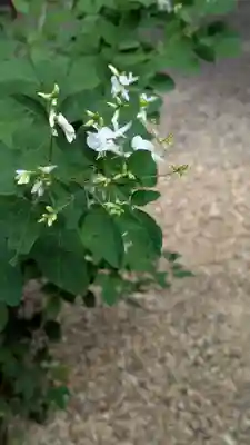 梨木神社(京都府)