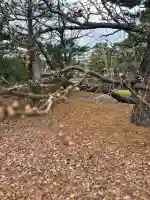 建仁寺(建仁禅寺)(京都府)