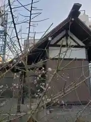 第六天神社の自然