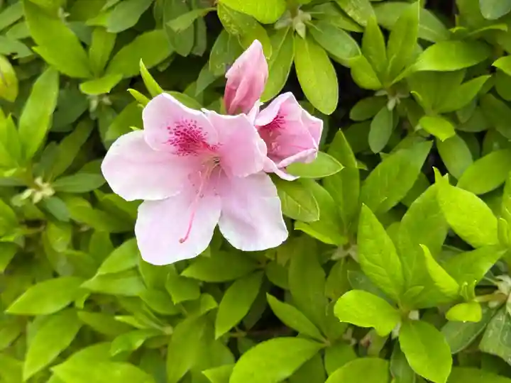 西方山極楽寺(岐阜県)