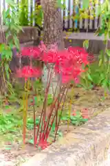 七郷神社(宮城県)