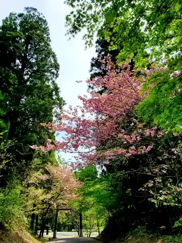 土津神社｜こどもと出世の神さまの景色