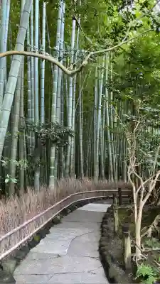 報国寺(神奈川県)