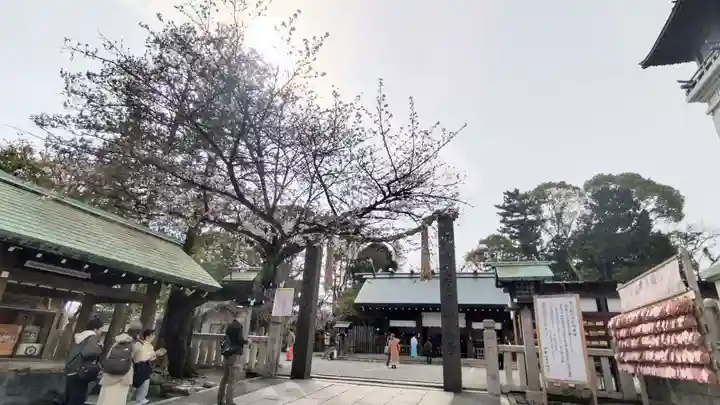 伊勢山皇大神宮の御朱印