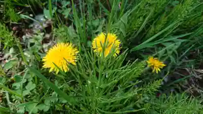 根神社(山梨県)