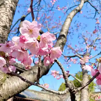 東寺（教王護国寺）(京都府)