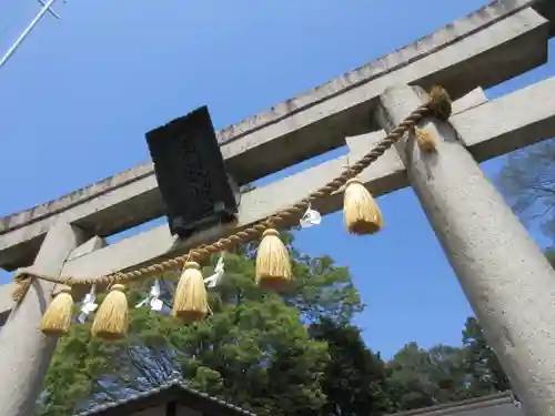 日枝神社の鳥居