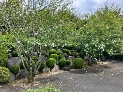 保井寺(東京都)