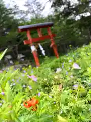 山の神神社(長野県)