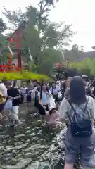 賀茂御祖神社（下鴨神社）(京都府)