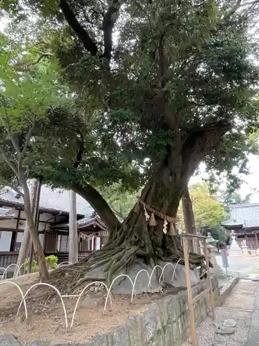 豊川進雄神社(愛知県)