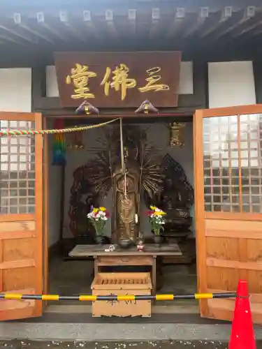 永光寺(牡丹不動尊) の{uncategorized: "未分類", other: "その他", undefined: "問題あり", building: "その他建物", grave: "お墓", sacred_gate: "鳥居", guardian: "狛犬", statue: "像", buddha: "仏像", history: "歴史", nature: "自然", garden: "庭園", animal: "動物", pagoda: "塔", temizu: "手水舎", mountain_gate: "山門・神門", sanctuary: "本殿・本堂", subordinate: "末社・摂社", art: "芸術", scenery: "景色", jizo: "地蔵", ema: "絵馬", goshuin: "御朱印", omikuji: "おみくじ", items: "授与品その他", amulet: "お守り", goshuincho: "御朱印帳", eats: "食事", festival: "お祭り", votive_dance: "神楽", shichigosan: "七五三参", wedding: "結婚式", experience: "体験その他", initially: "初詣", around: "周辺", anti_infection: "感染症対策"}