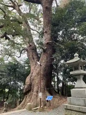 五所八幡宮の自然