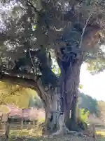 寂光寺(千葉県)