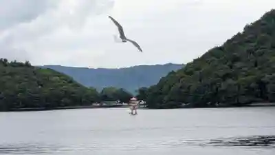 中島三重の塔の本殿・本堂