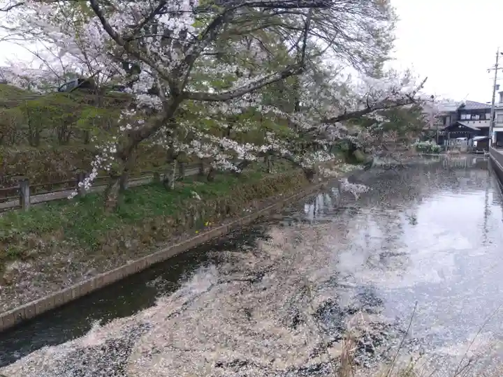飛驒護國神社(岐阜県)