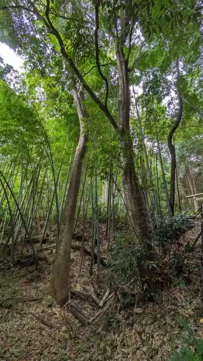 荏柄八幡社(東京都)