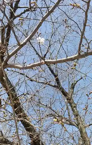 比佐豆知神社(三重県)