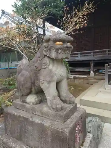 白山神社の狛犬