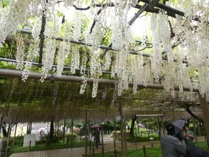 曼陀羅寺の庭園