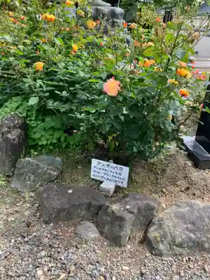 妙円寺(岩手県)