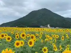 若狭彦神社（上社）の景色