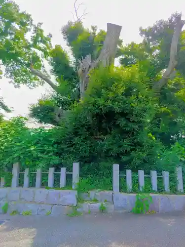御祖神社の自然