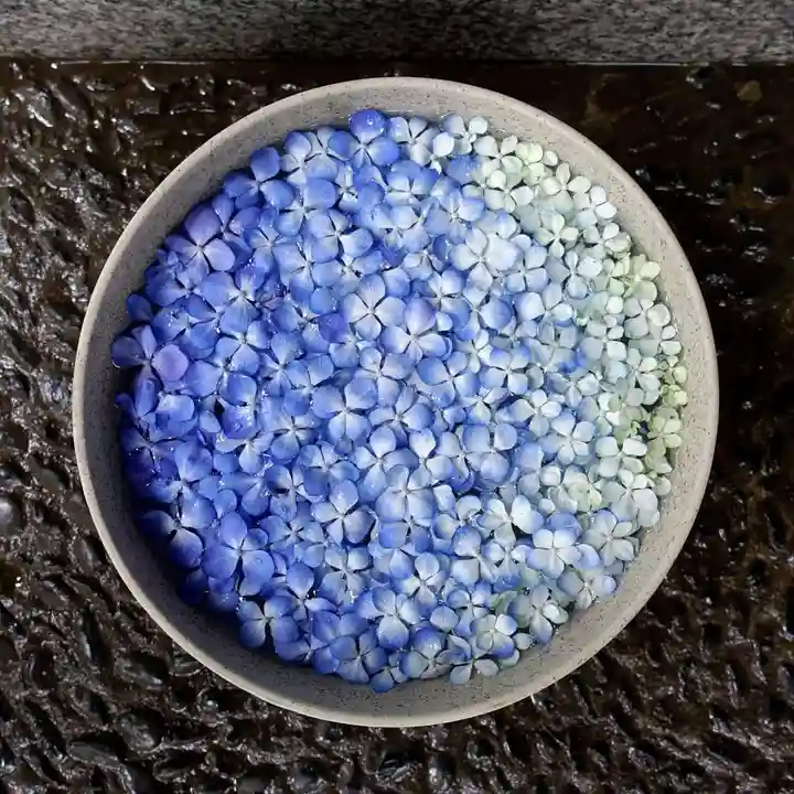 帯廣神社の手水舎