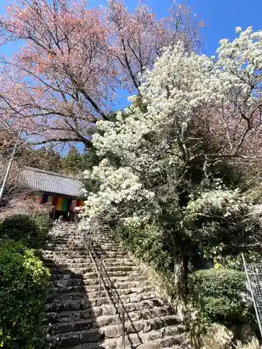 仏隆寺の{uncategorized: "未分類", other: "その他", undefined: "問題あり", building: "その他建物", grave: "お墓", sacred_gate: "鳥居", guardian: "狛犬", statue: "像", buddha: "仏像", history: "歴史", nature: "自然", garden: "庭園", animal: "動物", pagoda: "塔", temizu: "手水舎", mountain_gate: "山門・神門", sanctuary: "本殿・本堂", subordinate: "末社・摂社", art: "芸術", scenery: "景色", jizo: "地蔵", ema: "絵馬", goshuin: "御朱印", omikuji: "おみくじ", items: "授与品その他", amulet: "お守り", goshuincho: "御朱印帳", eats: "食事", festival: "お祭り", votive_dance: "神楽", shichigosan: "七五三参", wedding: "結婚式", experience: "体験その他", initially: "初詣", around: "周辺", anti_infection: "感染症対策"}