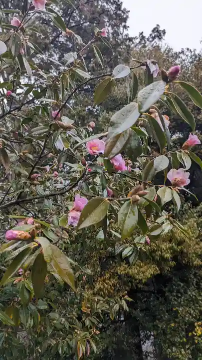 長岡天満宮(京都府)