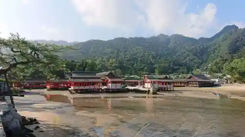 厳島神社の建物その他