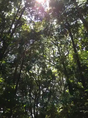 月讀宮（皇大神宮別宮）の自然