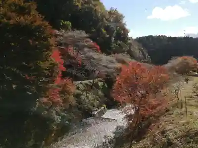 川見薬師寺の周辺