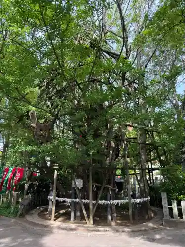 稲毛神社(神奈川県)