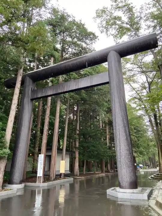 北海道神宮の鳥居