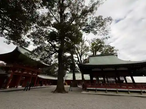武蔵一宮氷川神社(埼玉県)