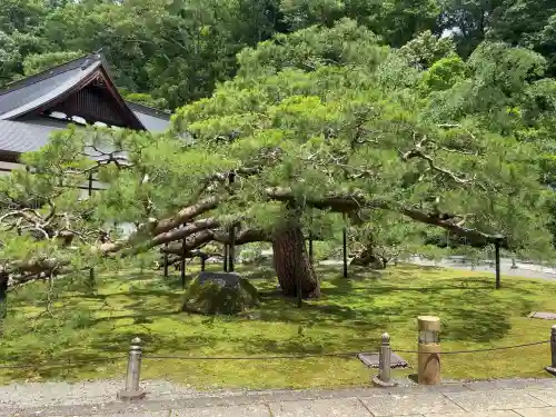 慈雲寺(長野県)