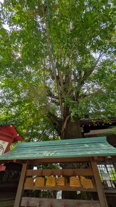 松ヶ崎大黒天 妙圓寺(妙円寺)(京都府)