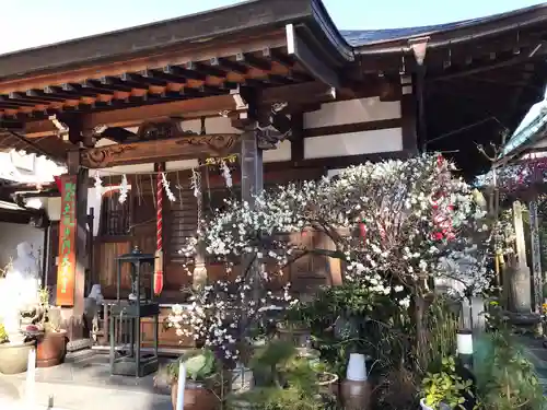 妙泉寺(神奈川県)