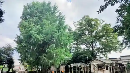今宮神社(栃木県)