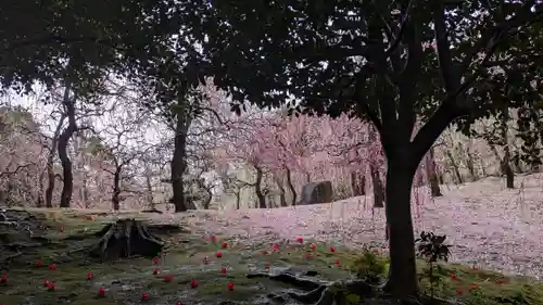 城南宮(京都府)