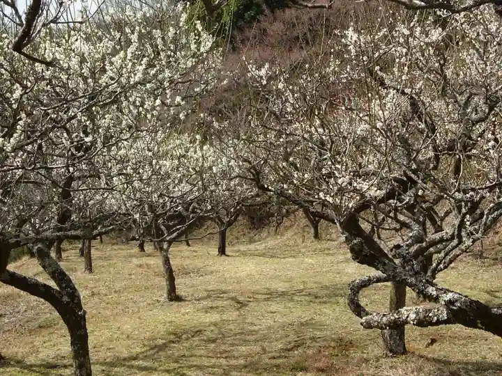 宝城坊(神奈川県)