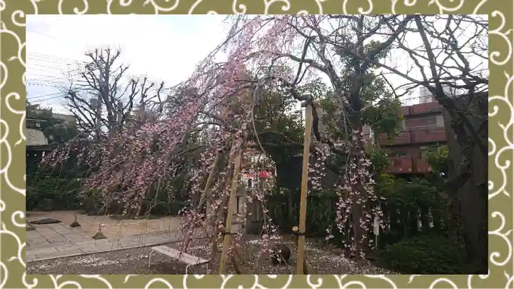 尾久八幡神社(東京都)