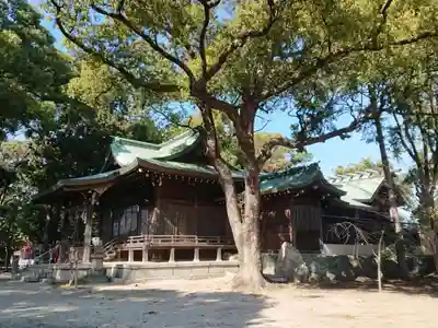 神明社（小牧神明社）の本殿・本堂