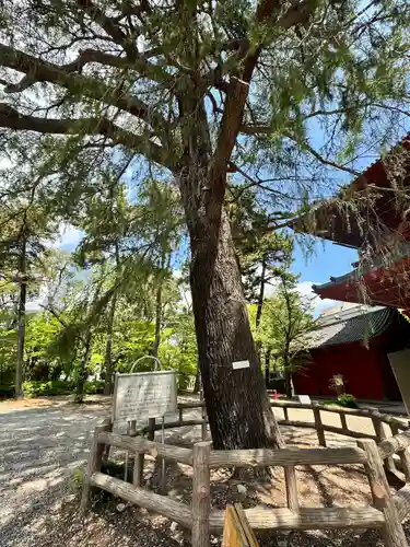 増上寺(東京都)