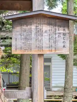 飛驒一宮水無神社(岐阜県)