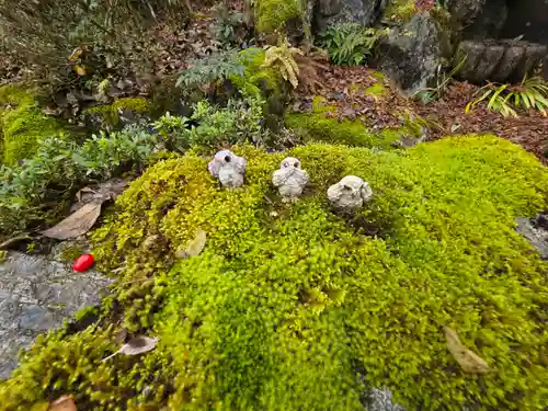 神藏寺(京都府)