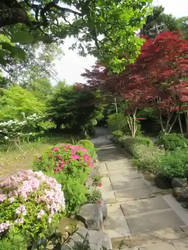 海蔵寺の庭園