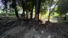 倉掛神社(京都府)