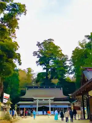 鹿島神宮(茨城県)